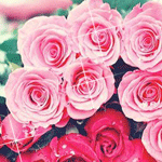 Букет нежно розовых роз блестит