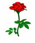 Розы смайлик картинка