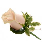 Роза розовая - символ праздника, украшение одежды