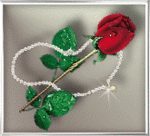 Роза с жемчужным ожерельем