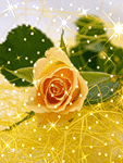 Желтая роза с бликами