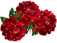 Прекрасные розы в снегопад