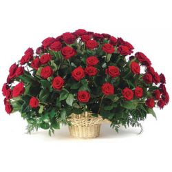 Букет прекрасных красных роз (10)