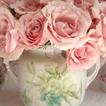 Розовые розы в белой вазе
