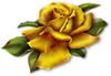Золотая роза. Цветы