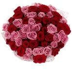 Букет прекрасных красных роз (2)