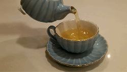 Свежайший чаек