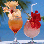 Два коктейля под пальмой