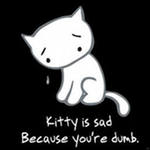 Kitty is sad because you're dumb