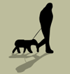 Прогуливает собаку