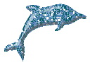Дельфинчик