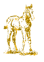Лошадка золотистая