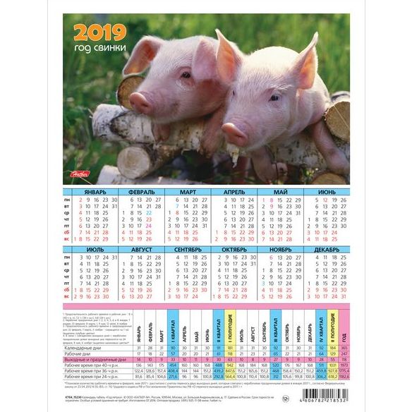 Календарь 2019 - год свинки
