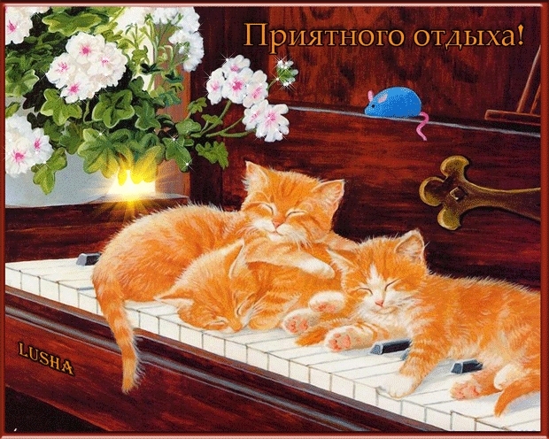 Откртки. Приятного отдыха! Три рыжих котенка на рояле