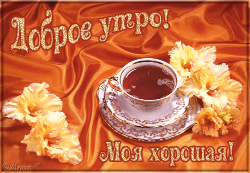 Доброе утро, моя хорошая!  Чашечка чая среди цветов