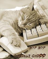 Открытка. Сладких снов! Кот уснул на клавиатуре