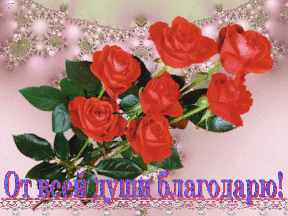 От всей души благодарю! Розы красные