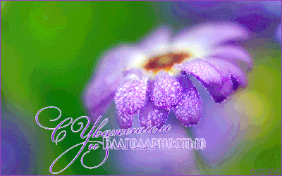 Октрытка благодарность.Фиолетовый цветок