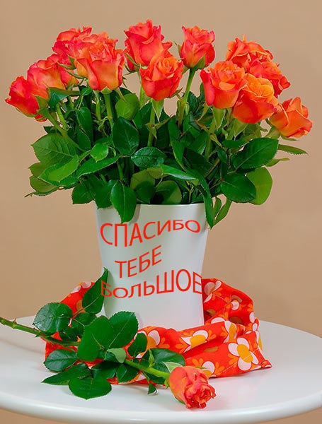 Спасибо тебе большое! Прекрасные розы в вазе и на столе