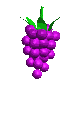 Виноград - гроздь витаминов