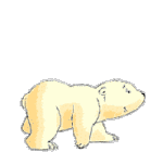 Белый медвежонок весело вышагивает