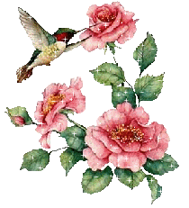 Колибри с розами