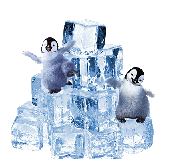 Пляска пингвинов