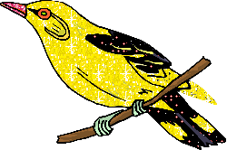 Желтая птичка на ветке