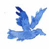 Синяя птица в полете