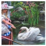 Девочка в белой шляпе кормит с руки белого лебедя на пруду