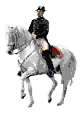 Всадник на белой лошади