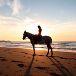 Силуэт девушки, сидящей на лошади, у моря на фоне заката