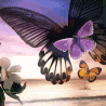 Сияющая бабочка