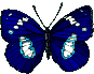 Бабочка (307)