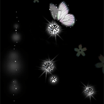 Бабочка с кружками на чёрном фоне