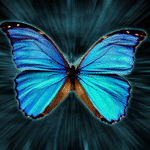 Голубенькая бабочка