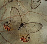 Бабочка нарисована на листе