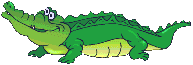 Толстый крокодил