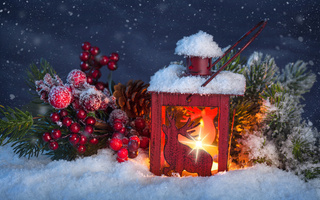 Фонарь освещает снег, ветку ели и красные ягоды на снегу