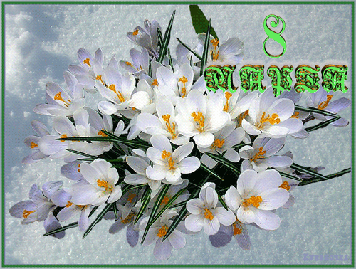 Открытка-поздравление С 8 марта с красивыми цветами весны