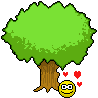 Сердце на дереве