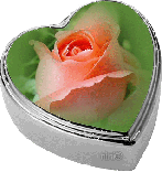 Сердечко-коробочка с розой