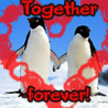 Сердце. Пингвины. Всегда вместе