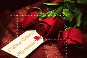 С днем Святого Валентина! Букет красных роз