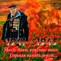 1941-1945 с маками и ветераном