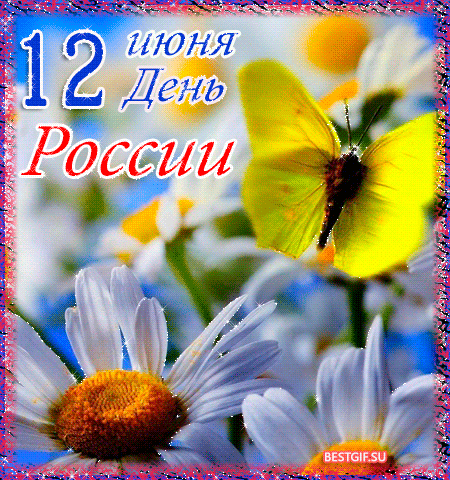 12 июня! День России. Ромашки и бабочки