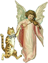 Ангел играет на скрипке для кота
