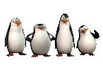 Мадагаскар.Квартет пингвинов