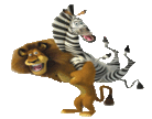 Мадагаскар.Лев поднимает зебру