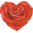 Роза Сердце